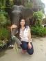 Find Nut's Dating Profile online