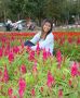 Find Risa's Dating Profile online