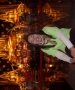 Find Sompit's Dating Profile online
