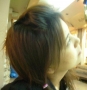 Find Jojoe's Dating Profile online